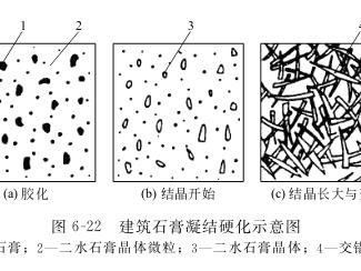 石膏的凝結(jié)硬化分析