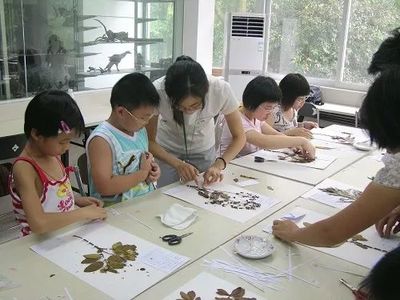 植物園，你真的了解嗎？——一場綠意背后的深度探索